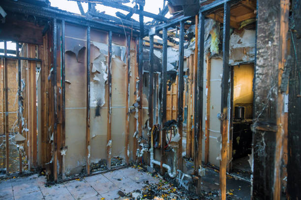 Professional Fire Damage Repair technician working in South Monroe, MI